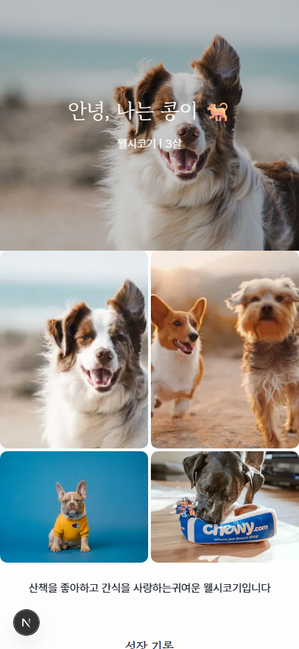 반려동물 프로필