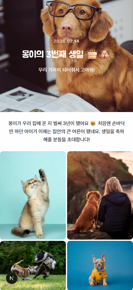 반려동물 생일파티