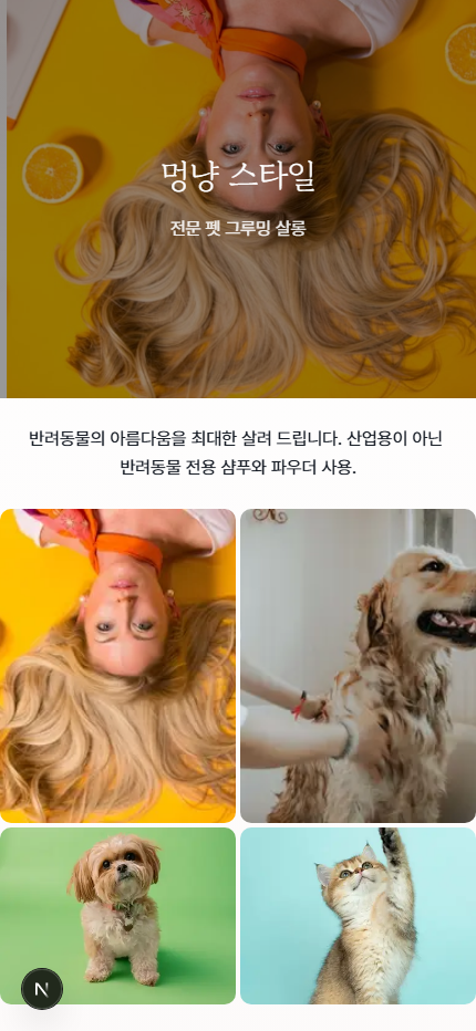 펫 미용