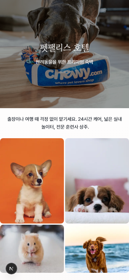 펫 호텔