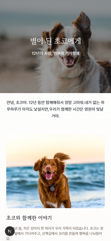 반려동물 추모 프리미엄