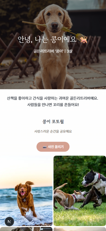 반려동물 프로필